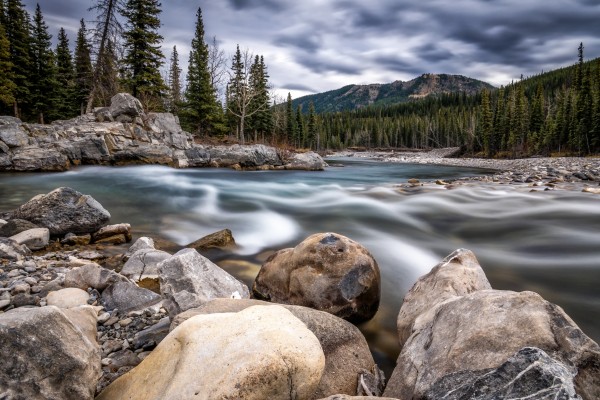 Elbow River by Andrew Wasik